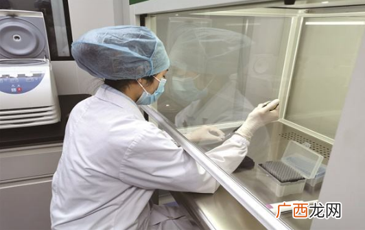 48小时核酸检测混检出纸质报告吗-48小时核酸检测可以混采吗