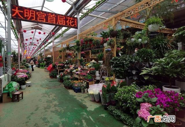 西安花卉市场批发在哪里 西安花卉盆栽批发市场在哪里