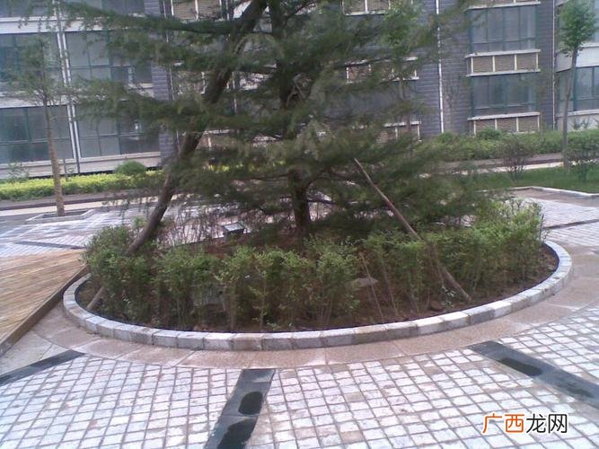 花卉租赁公司有哪些 西安花卉植物租赁