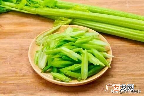 种植什么好,下半年可以种植什么农作物最方便