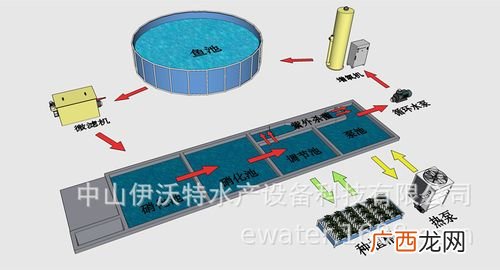 水产温室养殖水加热 水产设备和水产养殖器材价格
