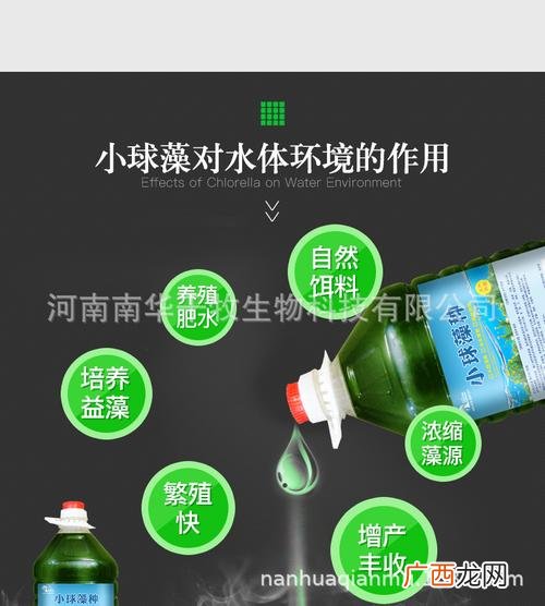 水产养殖肥水用小球藻 水产网小球藻