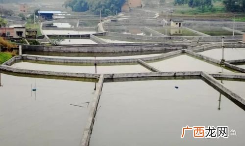 个人总结 水产养殖场总结