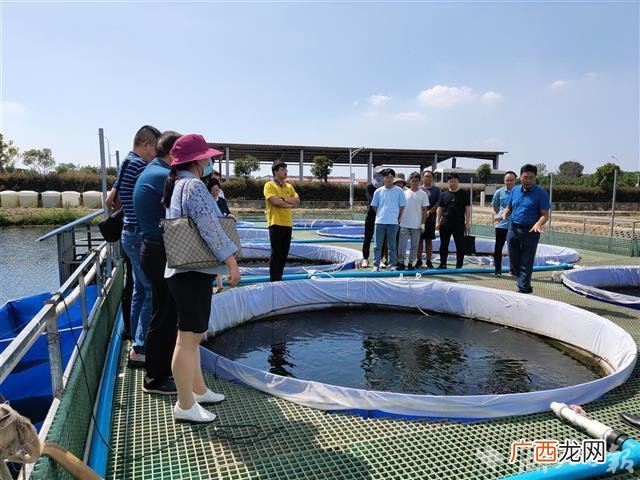 个人总结 水产养殖场总结