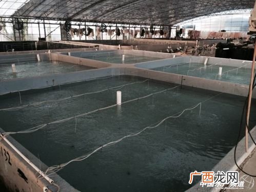 大连水产养殖概况 水产养殖集团