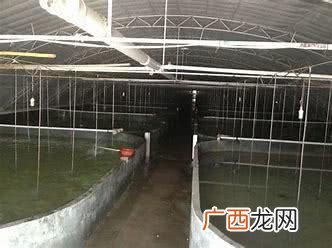 闲置厂房养殖什么好 闲置的厂房适合做什么生意