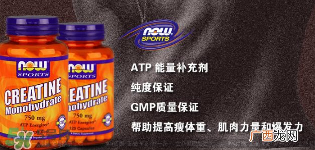 nowfoods肌酸说明书nowfoods肌酸怎么吃