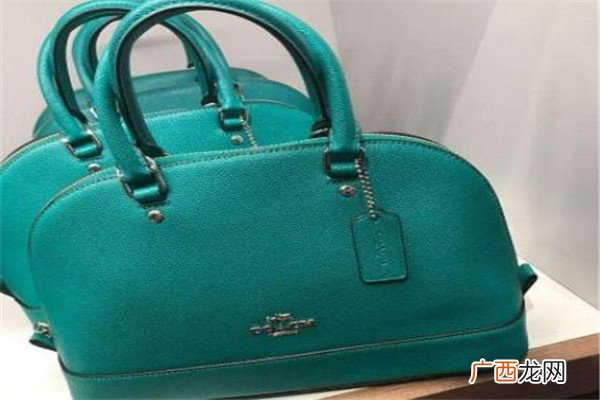 轻奢女包品牌 coach四大经典款女包