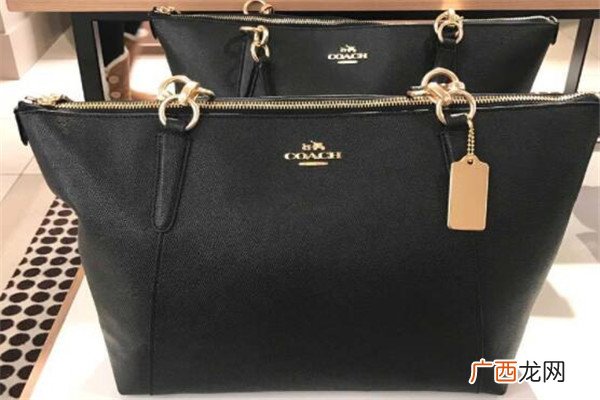 轻奢女包品牌 coach四大经典款女包