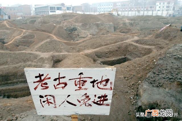 00后适合学什么技术,十年以后什么行业最好