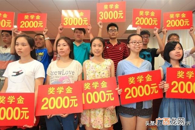 00后适合学什么技术,十年以后什么行业最好