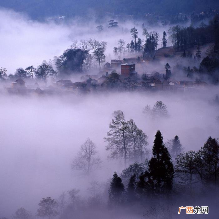 绝美的水墨意境的风景相片 有意境有深度的图片
