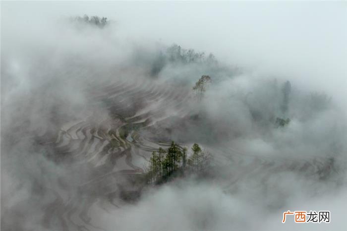 绝美的水墨意境的风景相片 有意境有深度的图片