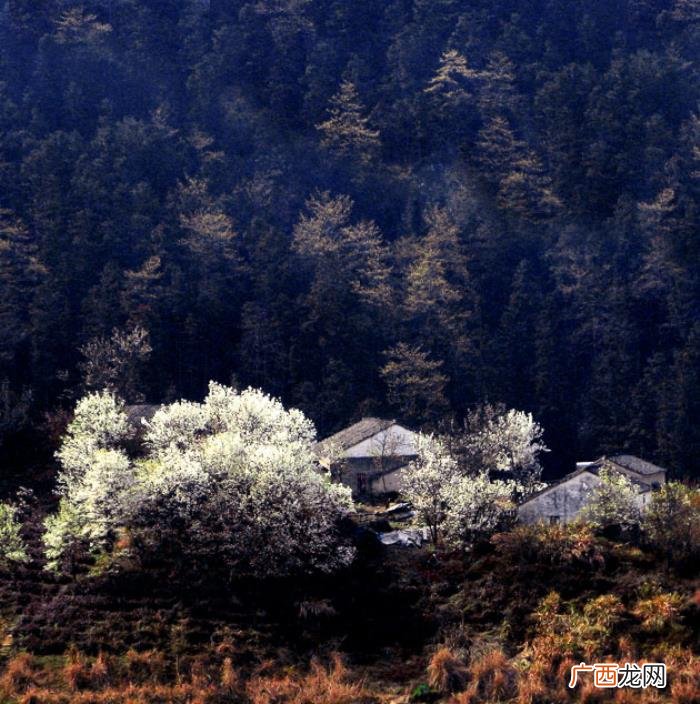 绝美的水墨意境的风景相片 有意境有深度的图片
