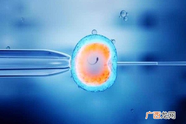 试管婴儿成功率高吗-试管婴儿可以做双胞胎吗