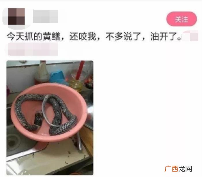 30张笑岔气儿的图片 笑趴的图片