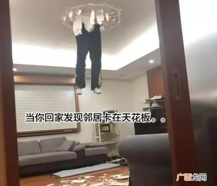 30张笑岔气儿的图片 笑趴的图片