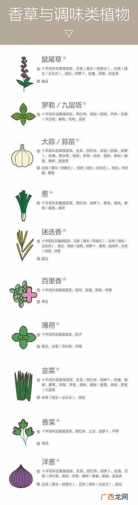 什么样的农作物种在一起比较好（哪些农作物种