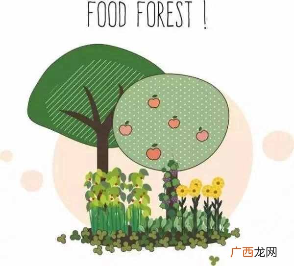 什么样的农作物种在一起比较好（哪些农作物种