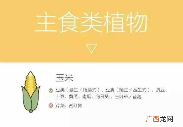什么样的农作物种在一起比较好（哪些农作物种