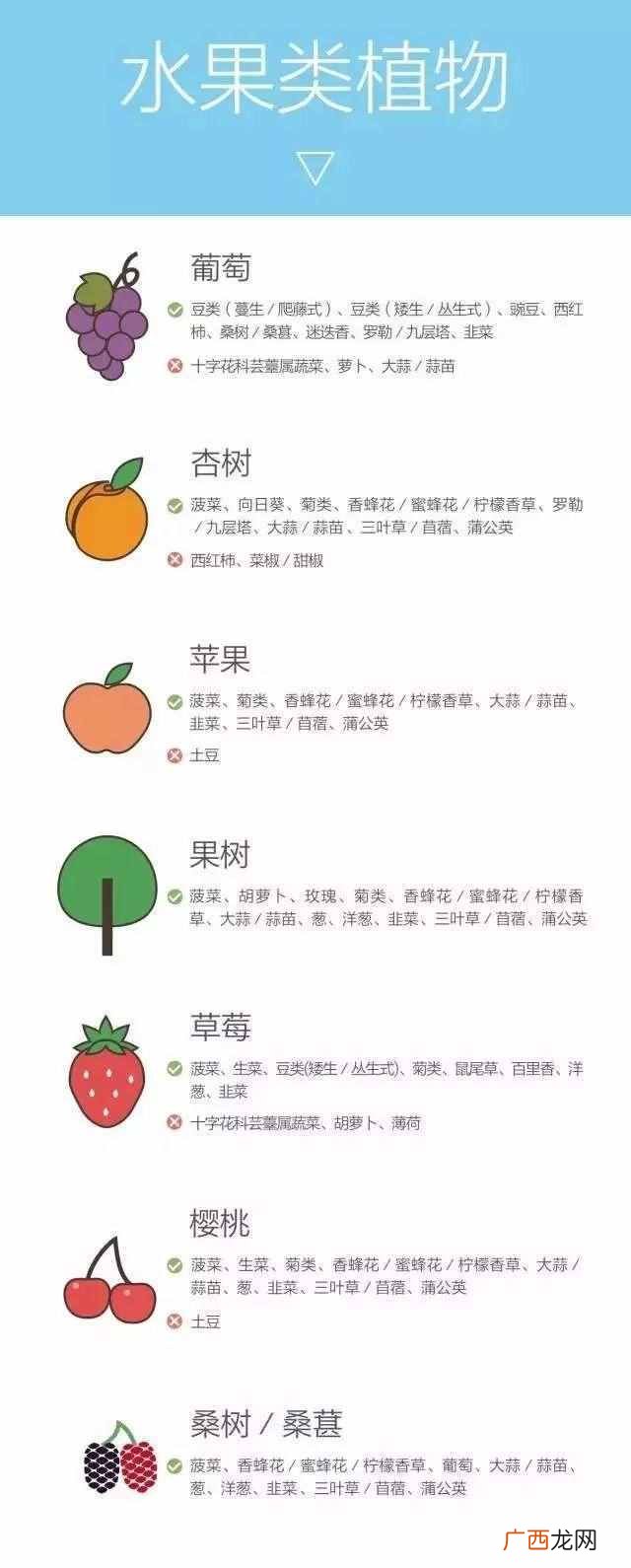 什么样的农作物种在一起比较好（哪些农作物种
