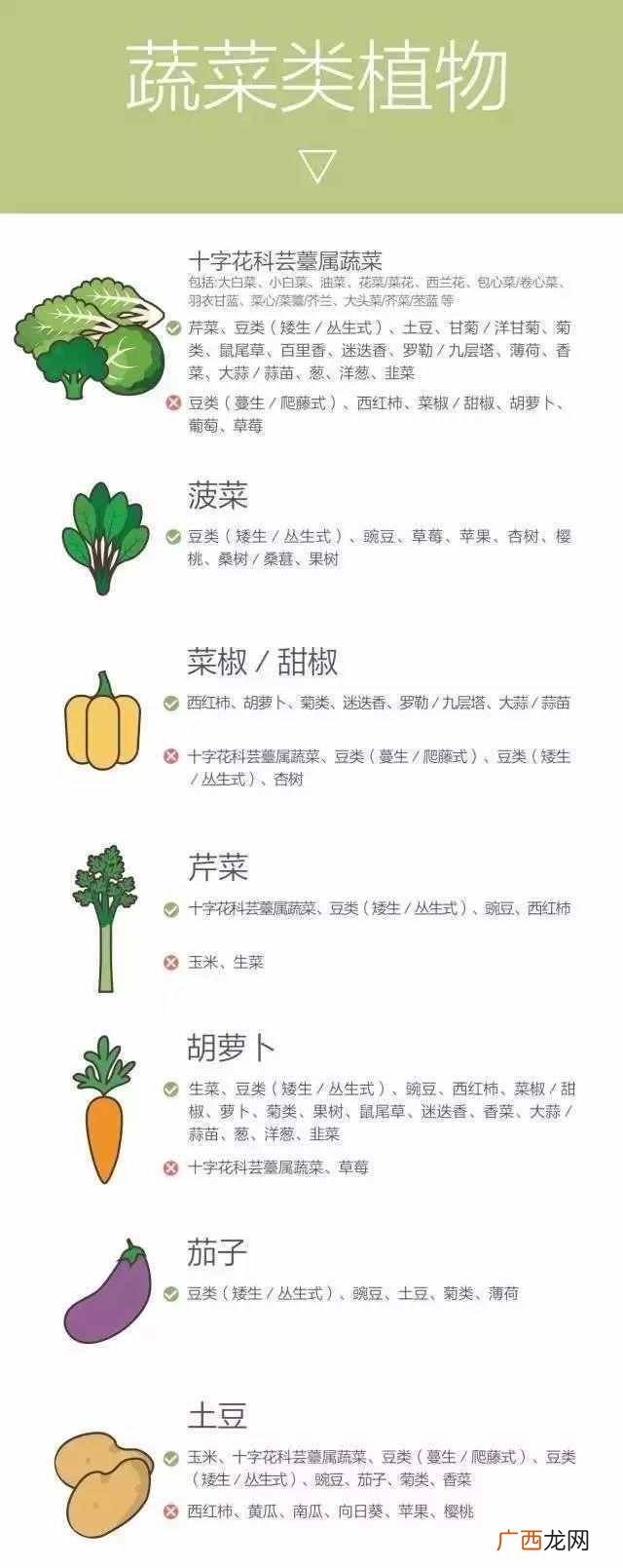 什么样的农作物种在一起比较好（哪些农作物种