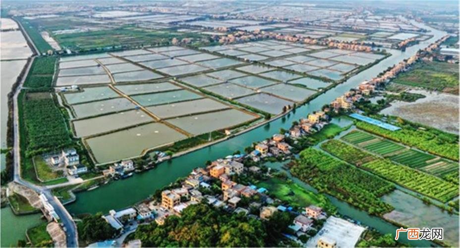 广东水产养殖网官网 广东中山水产养殖招聘