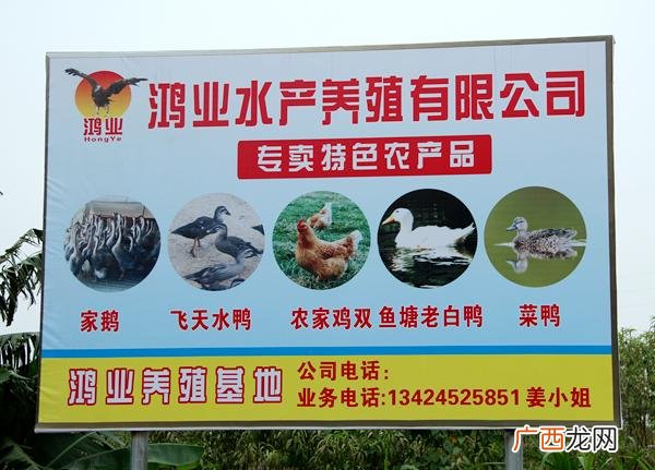 广东水产养殖网官网 广东中山水产养殖招聘