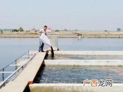水产加工用天棚板 江苏水产加工