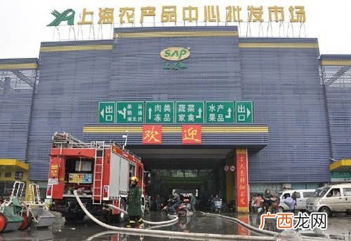 金华东站水产批发市场 金山区水产批发