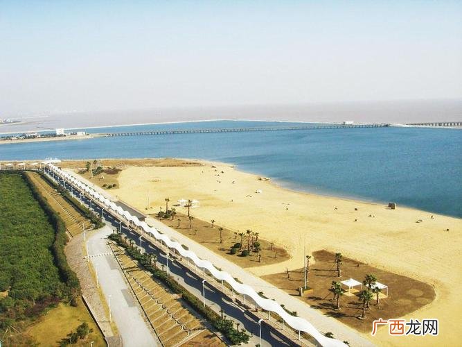 金华东站水产批发市场 金山区水产批发