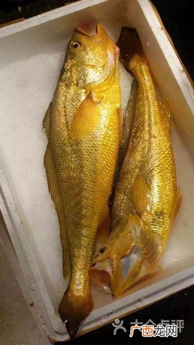 冻品品种类 水产冻品的品牌