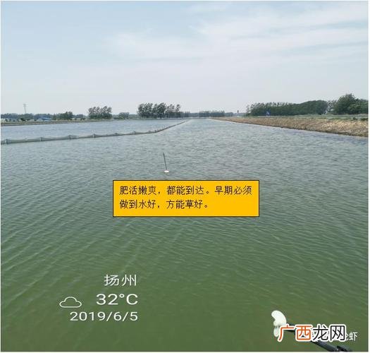 青蟹养殖 水产螃蟹养殖保险