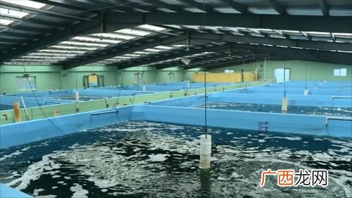 水产养殖员招聘 苏州水产养殖招聘