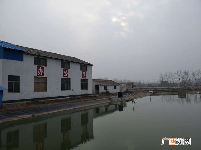 淮安鱼苗批发市场 宿松水产鱼需