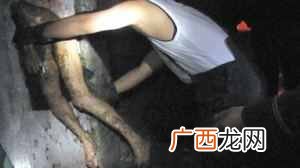 化粪池现男童尸体（8岁被遗弃化粪池是怎么回事