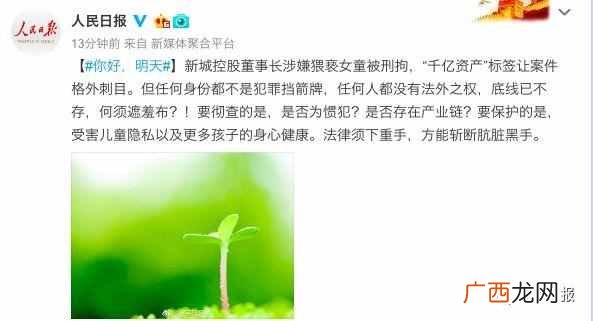 目前已经被拘 新城董事猥亵9岁女童