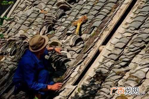 现在农村做什么生意好（农村做什么生意好赚钱