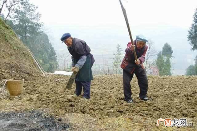 现在农村做什么生意好（农村做什么生意好赚钱