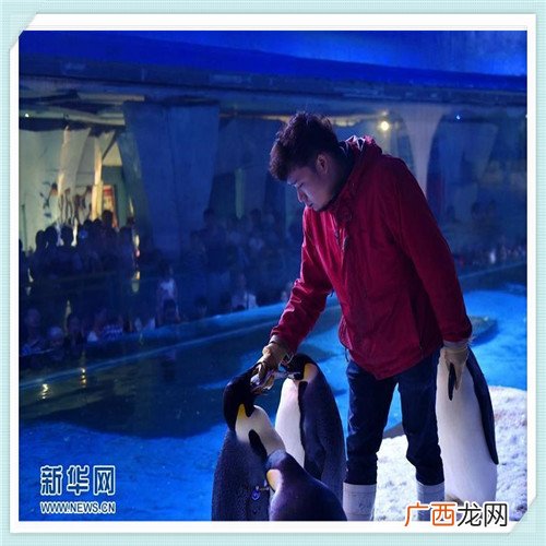 宗申130摩托三轮车怎么样 宗申三轮摩托车xd3怎么样