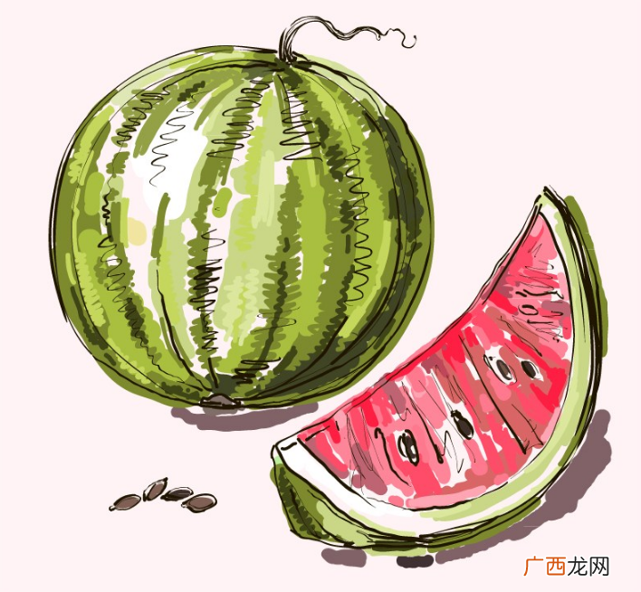 益生元是什么?益生元是益生菌吗?