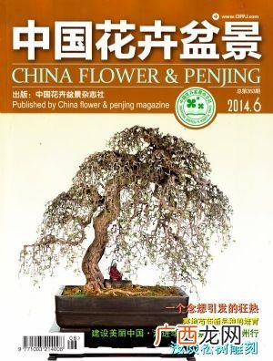 园艺资材包括什么 花卉盘景杂志有
