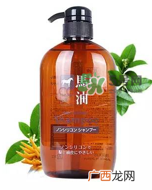 熊野马油洗发水起头屑吗?KUMANO洗发水用完长头屑吗?
