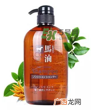 熊野马油洗发水起头屑吗?KUMANO洗发水用完长头屑吗?
