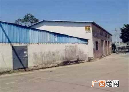 2019在农村开什么厂子赚钱（在农村开什么厂能赚