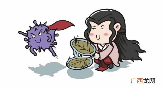 2019加盟什么项目致富（目前有哪些加盟项目最赚