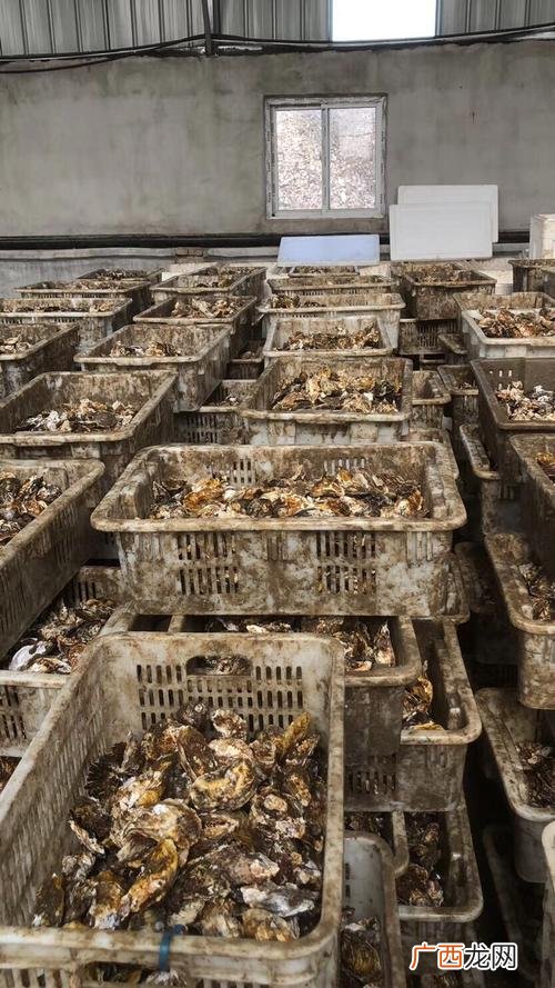 我国水产养殖业发展现状 大连水产养殖业现状