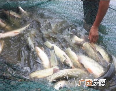 水产养殖业 地理水产养殖条件