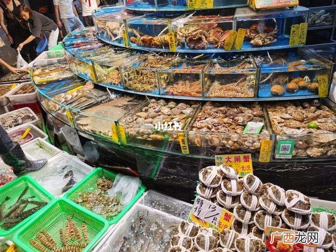 东莞细村农贸市场在哪 东莞金桥水产市场电话