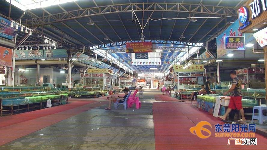 东莞细村农贸市场在哪 东莞金桥水产市场电话